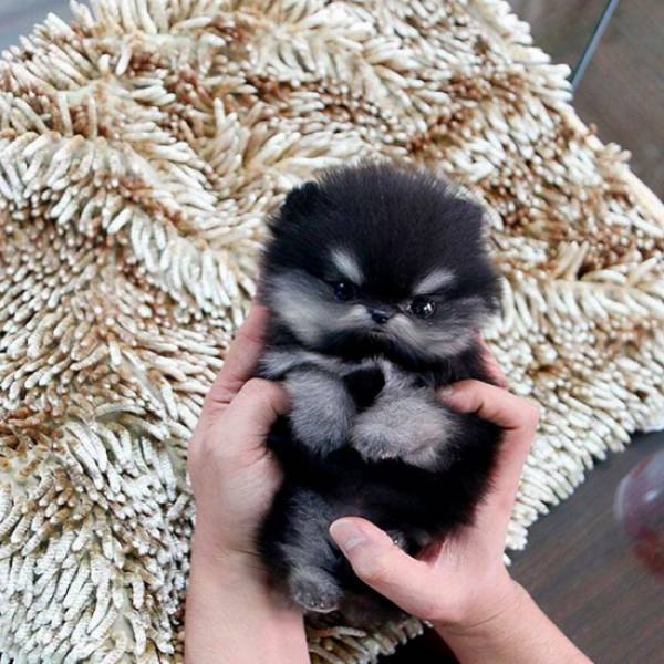 morning picdump 50 pics 21.html - 50 HD Photos | Premium Gallery 2016