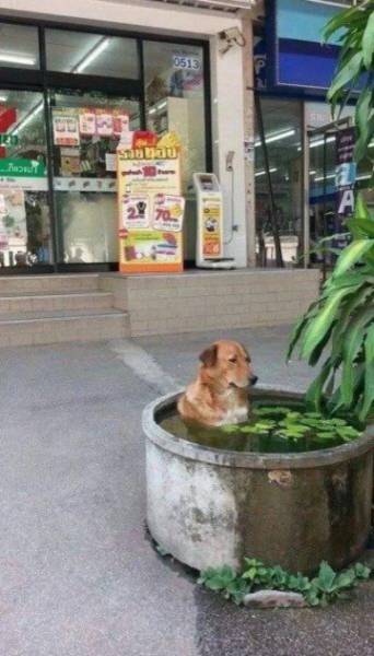 Morning Picdump