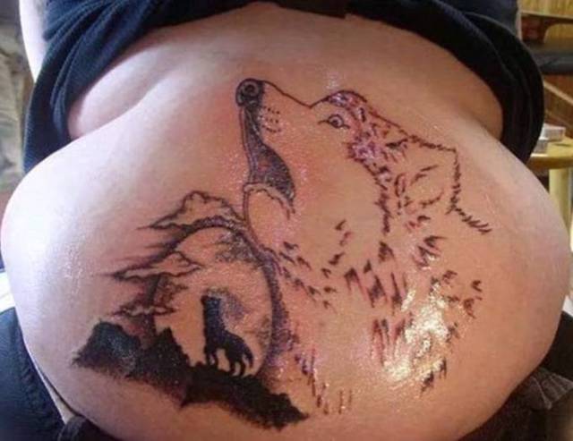 Morning Picdump