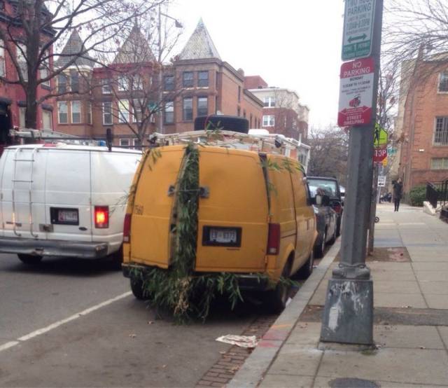 Daily Picdump