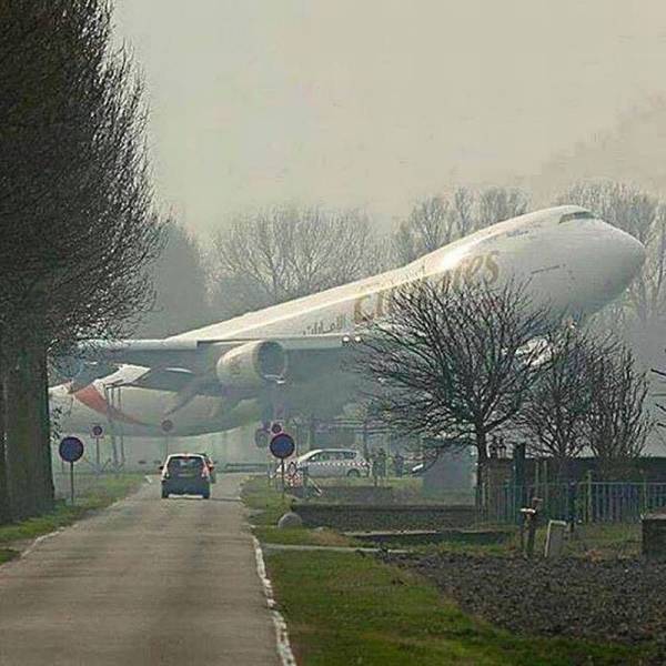 Daily Picdump