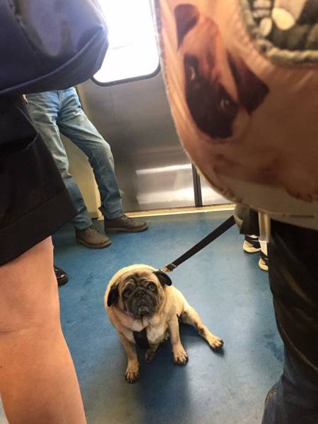 Daily Picdump