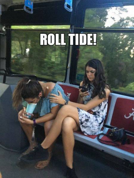 Daily Picdump
