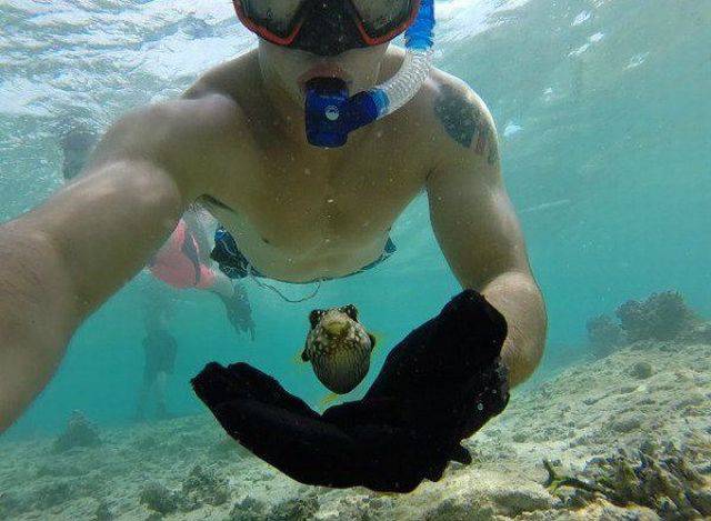daily picdump 101 pics 10.html - 101 HD Photos | Premium Gallery 2016