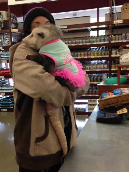 daily picdump 101 pics 10.html - 101 HD Photos | Premium Gallery 2016