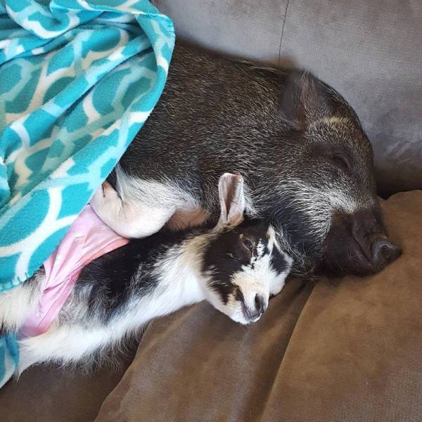 daily picdump 101 pics 10.html - 101 HD Photos | Premium Gallery 2016
