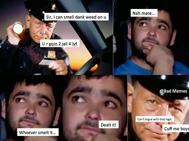 Hilarious Memes That Will Make Your Day