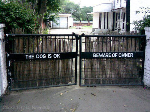 morning picdump 50 pics 17.html - 50 HD Photos | Premium Gallery 2016