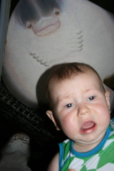 Because Photobombs Are Always Funny