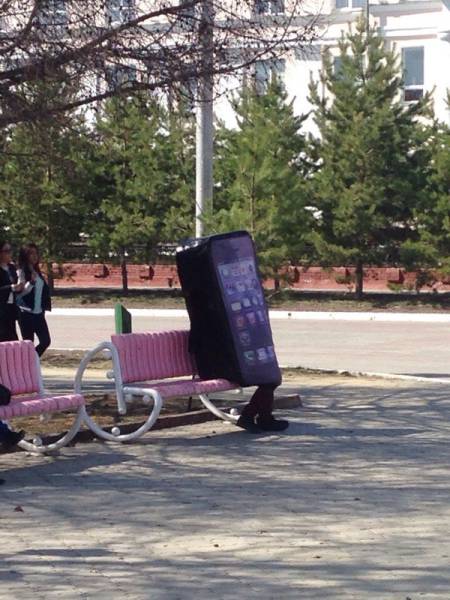 Morning Picdump