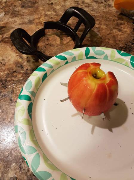morning picdump 55 pics 5.html - 55 HD Photos | Premium Gallery 2016