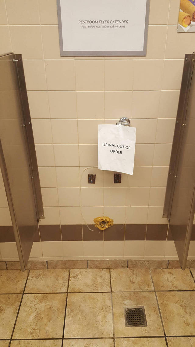 morning picdump 55 pics 5.html - 55 HD Photos | Premium Gallery 2016