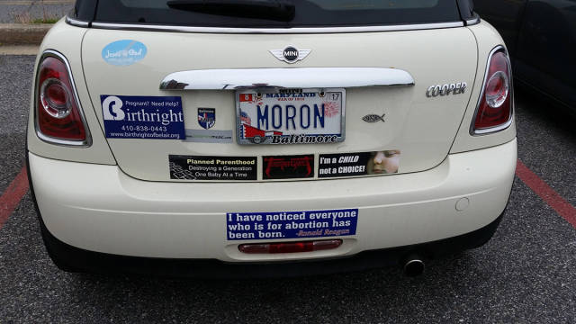 morning picdump 51 pics 2.html - 51 HD Photos | Premium Gallery 2016