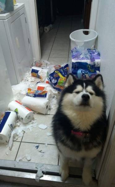 daily picdump 96 pics 16.html - 96 HD Photos | Premium Gallery 2016