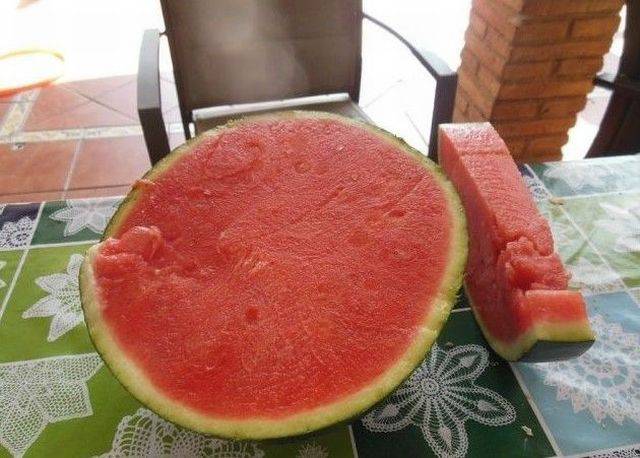 daily picdump 96 pics 16.html - 96 HD Photos | Premium Gallery 2016