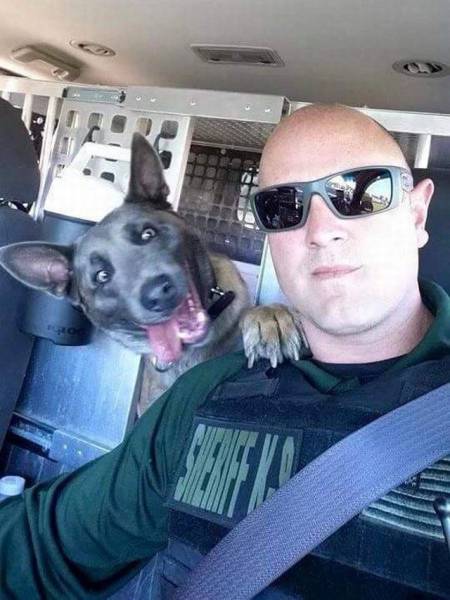 daily picdump 96 pics 16.html - 96 HD Photos | Premium Gallery 2016