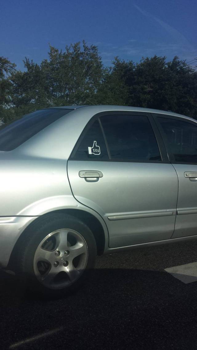 daily picdump 96 pics 16.html - 96 HD Photos | Premium Gallery 2016