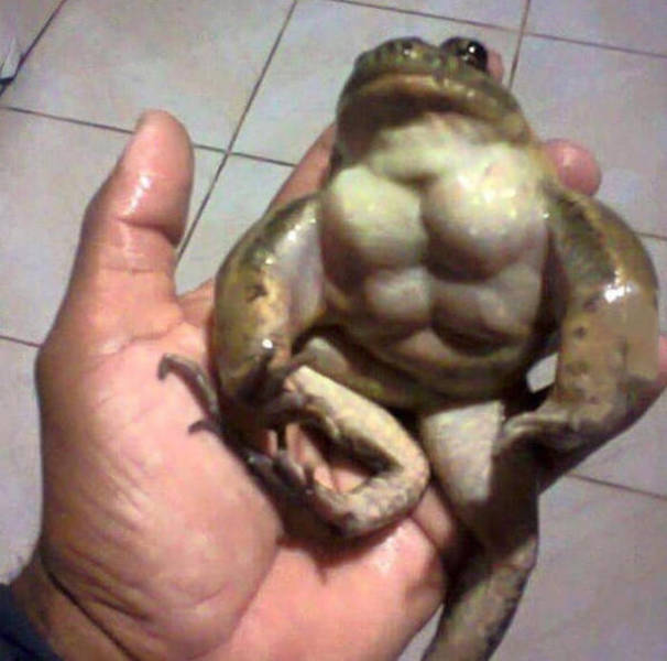 Morning Picdump