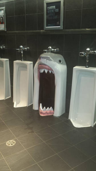 morning picdump 53 pics 16.html - 53 HD Photos | Premium Gallery 2016