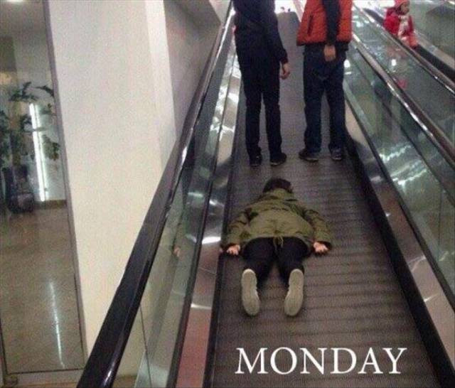 funny picdump 53 pics 2.html - 53 HD Photos | Premium Gallery 2016