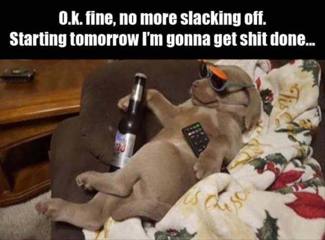 funny picdump 53 pics 2.html - 53 HD Photos | Premium Gallery 2016