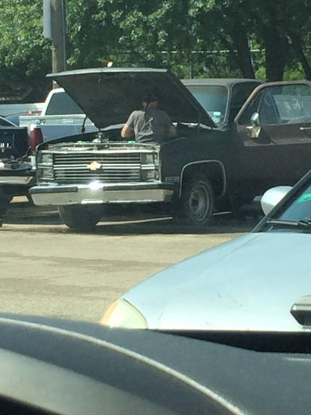 funny picdump 53 pics 2.html - 53 HD Photos | Premium Gallery 2016