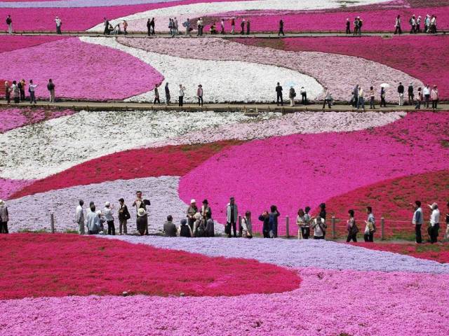 morning picdump 51 pics 21.html - 51 HD Photos | Premium Gallery 2016