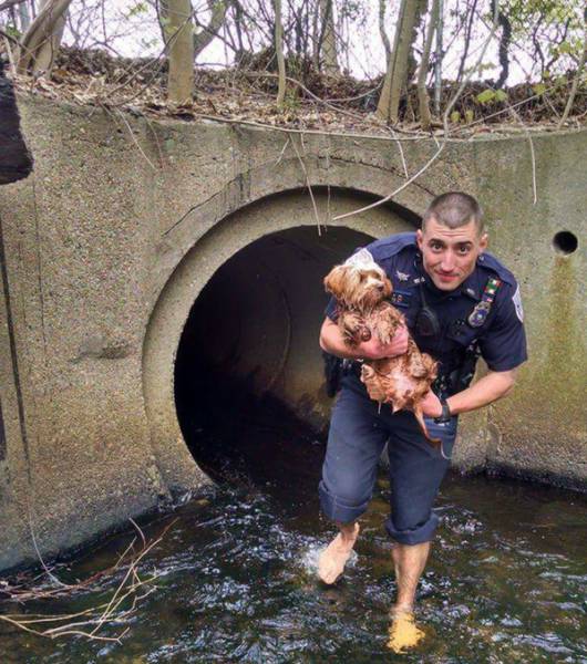 morning picdump 51 pics 21.html - 51 HD Photos | Premium Gallery 2016