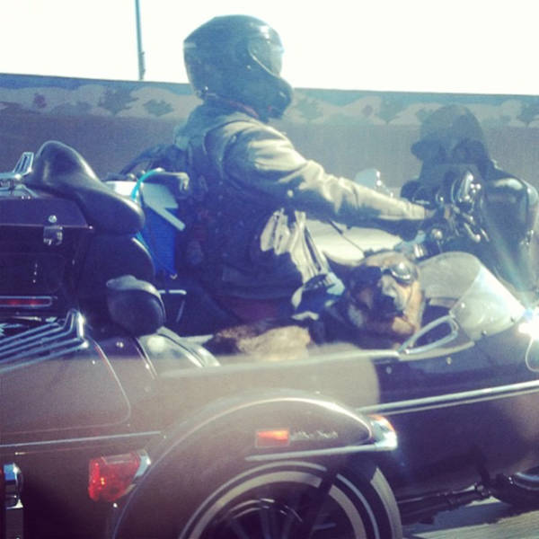 morning picdump 51 pics 21.html - 51 HD Photos | Premium Gallery 2016