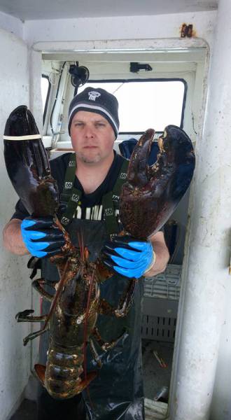 morning picdump 51 pics 21.html - 51 HD Photos | Premium Gallery 2016