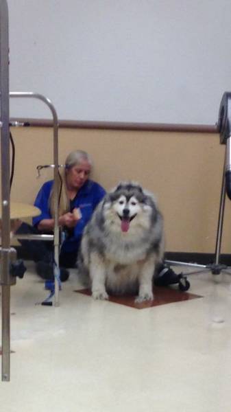 morning picdump 51 pics 19.html - 51 HD Photos | Premium Gallery 2016