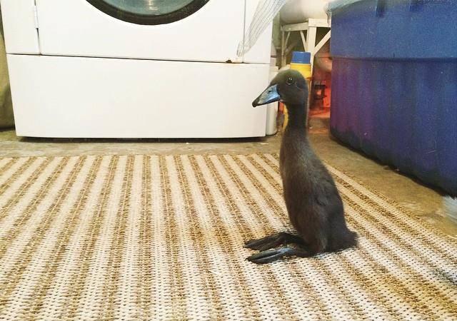 morning picdump 51 pics 19.html - 51 HD Photos | Premium Gallery 2016