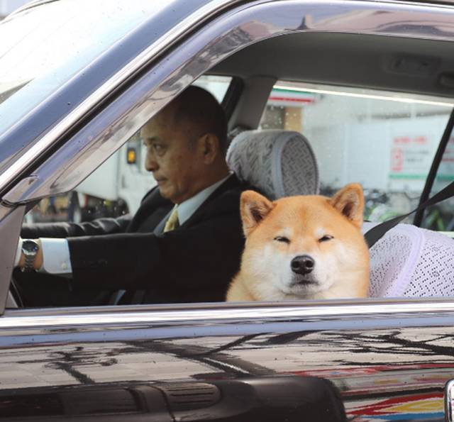 Morning Picdump