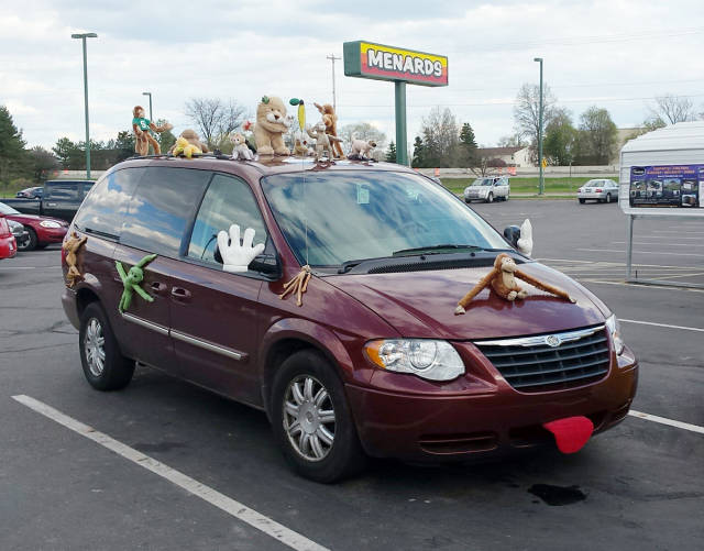 Morning Picdump