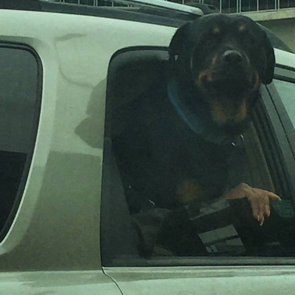 Morning Picdump