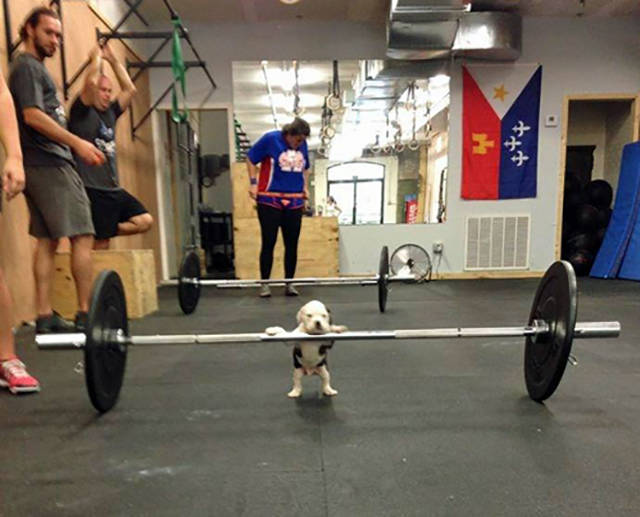 morning picdump 52 pics 19.html - 52 HD Photos | Premium Gallery 2016