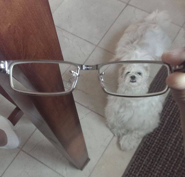 morning picdump 52 pics 19.html - 52 HD Photos | Premium Gallery 2016