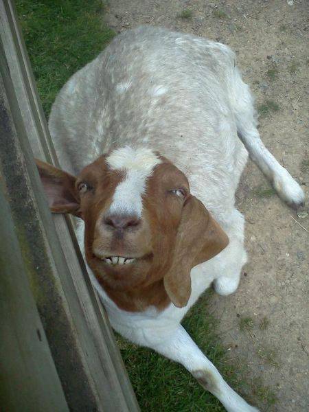 morning picdump 52 pics 19.html - 52 HD Photos | Premium Gallery 2016