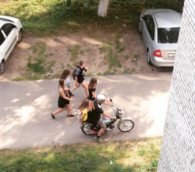 Compilation Of The Biggest Douchelords