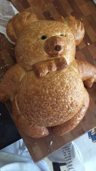 Morning Picdump