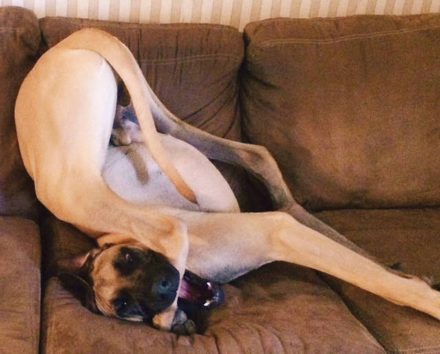 morning picdump 53 pics 2.html - 53 HD Photos | Premium Gallery 2016