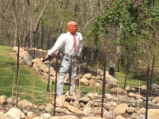 morning picdump 53 pics 2.html - 53 HD Photos | Premium Gallery 2016