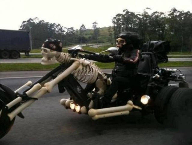 morning picdump 51 pics 3.html - 51 HD Photos | Premium Gallery 2016