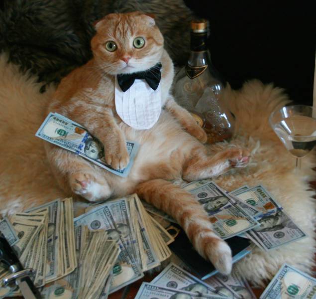 morning picdump 51 pics 3.html - 51 HD Photos | Premium Gallery 2016