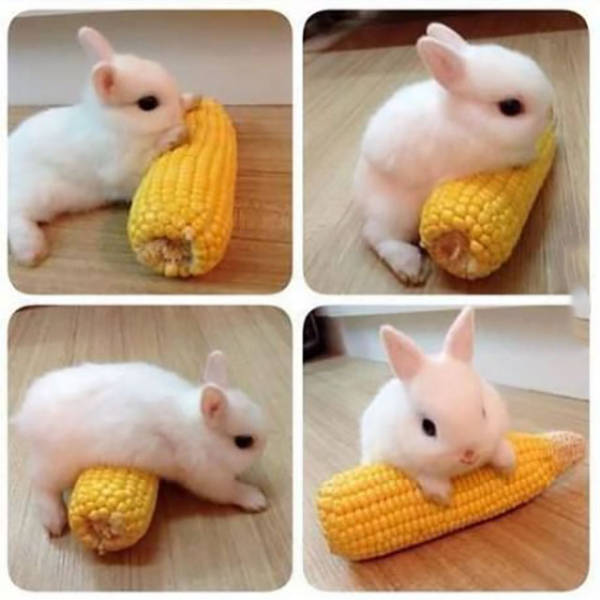 morning picdump 51 pics 3.html - 51 HD Photos | Premium Gallery 2016