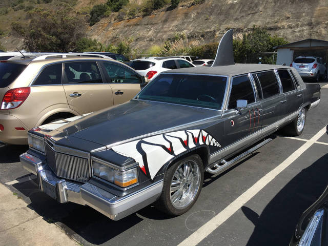 morning picdump 51 pics 3.html - 51 HD Photos | Premium Gallery 2016