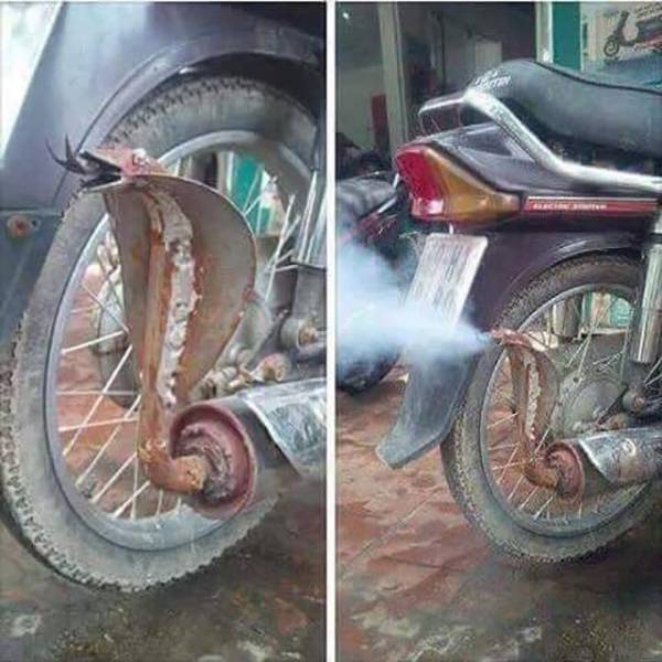 morning picdump 50 pics 1.html - 50 HD Photos | Premium Gallery 2016