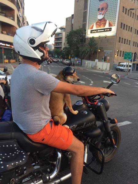 morning picdump 50 pics 1.html - 50 HD Photos | Premium Gallery 2016