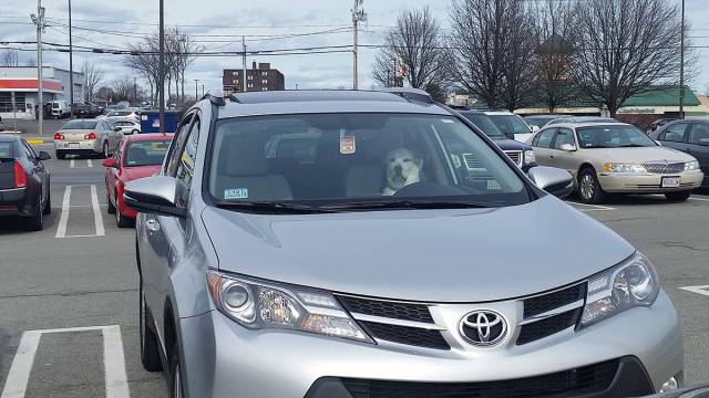 morning picdump 50 pics 1.html - 50 HD Photos | Premium Gallery 2016