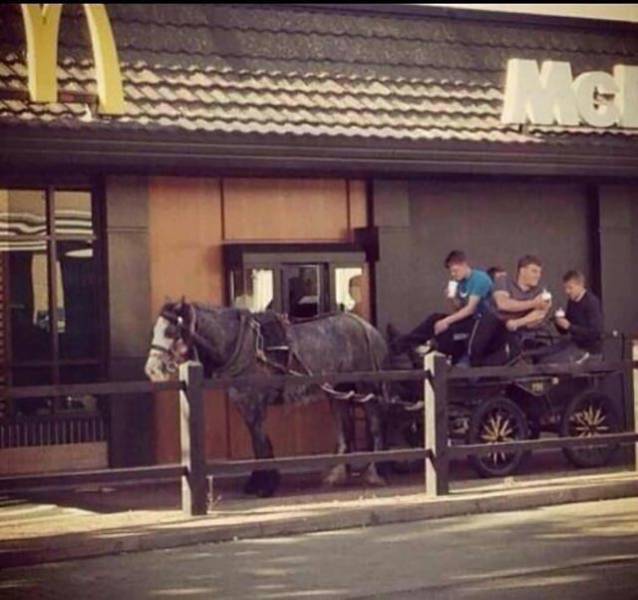 morning picdump 50 pics 1.html - 50 HD Photos | Premium Gallery 2016